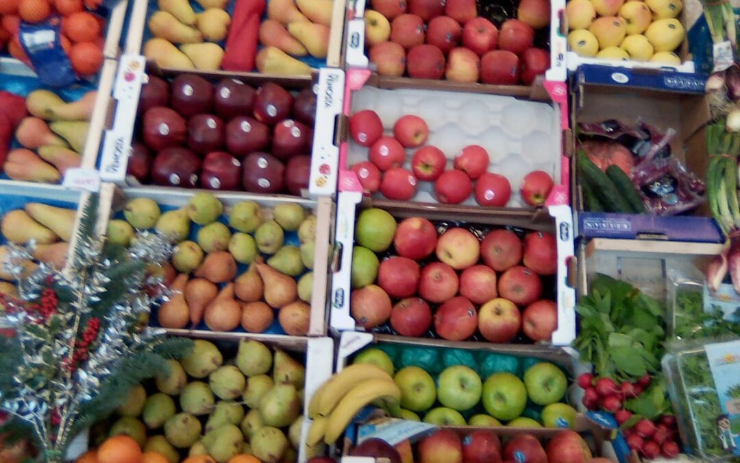 Ortonovi piante e frutta